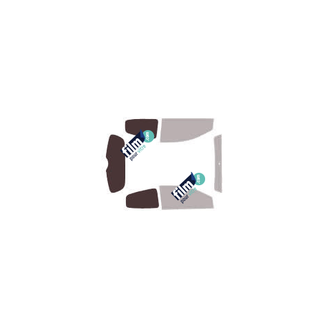 Kit film solaire Renault Twingo (2) 3 portes (2012 - 2014)