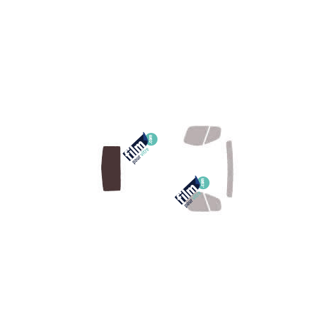 Kit film solaire Renault Trafic (2) Court / Long Utilitaire 4 portes (2002 - 2015) hayon