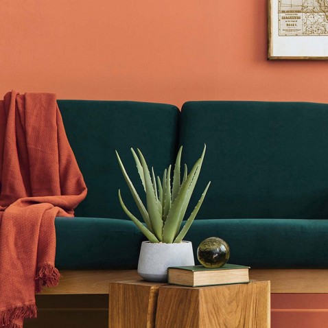 Papier peint autocollant pêche mat