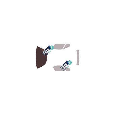 Kit film solaire prédécoupé Holden Tigra coupé 3 portes (2000 - 2006)