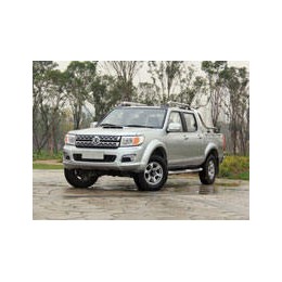 Kit film solaire prédécoupé Dongfeng Rich (1) pick-up 4 portes (depuis 2019)