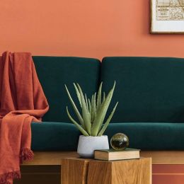 DIMEXACT Revêtement Adhésif Couleur Mat pour Murs et Meubles, de Largeur : 1.22 m x Longueur : 0.5 m / 1 m / 1.5 m / 2 m / 2.5 m