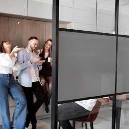 Film occultant gris brillant pour fenêtre