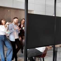 Film occultant noir mat pour fenêtre