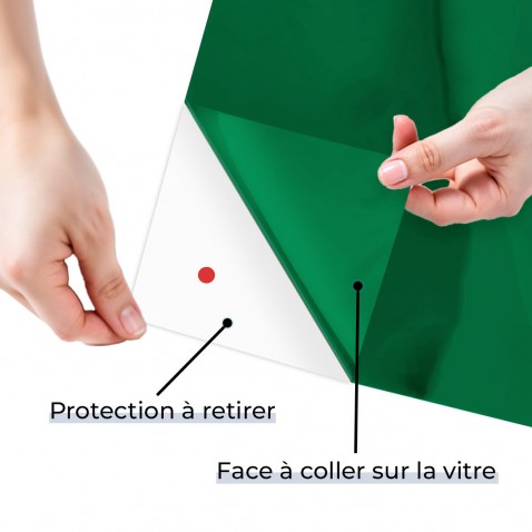 Film occultant vert nénuphar brillant pour fenêtre