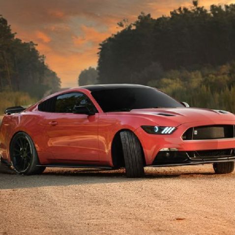 Covering corail brillant pour toutes surfaces - 3D