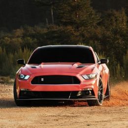 Covering corail brillant pour toutes surfaces - 3D