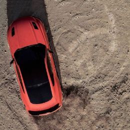 Covering corail brillant pour toutes surfaces - 3D