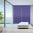 Film couleur prune transparent