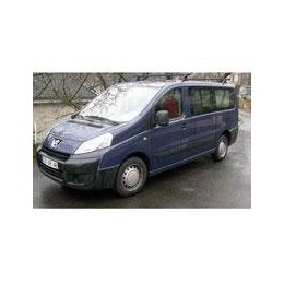 Kit film solaire Peugeot Expert (2) Long 5 portes (2007 - 2017) 2 portes arrières et essuie-glaces